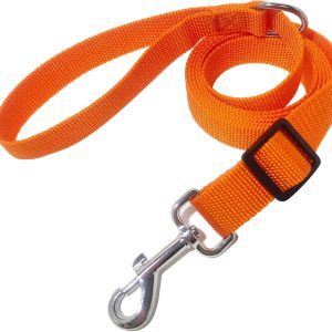6FT/ 10FT Adjustable Dog Leash, Nylon Dog Leashes for Medium Large Dogs (10FT, Orange)