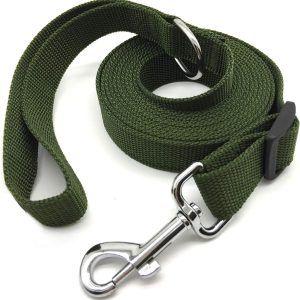 10FT Adjustable Dog Leash, Nylon Dog Leashes for Medium Large Dogs (Green)