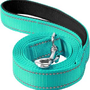 6FT Reflective Nylon Dog Leash with Soft Padded Handle for Walking, Running and Training, Supports Small Medium and Large Dogs (Turquoise, 3/4Inch Wide)