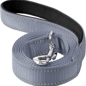6FT Reflective Nylon Dog Leash with Soft Padded Handle for Walking, Running and Training, Supports Small Medium and Large Dogs (Grey, 3/4Inch Wide)